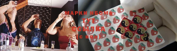 PSILOCYBIN Бородино
