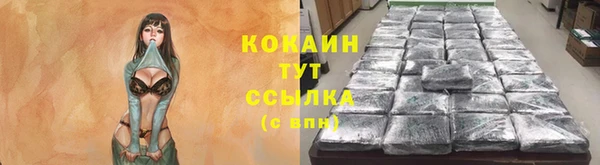 PSILOCYBIN Бородино