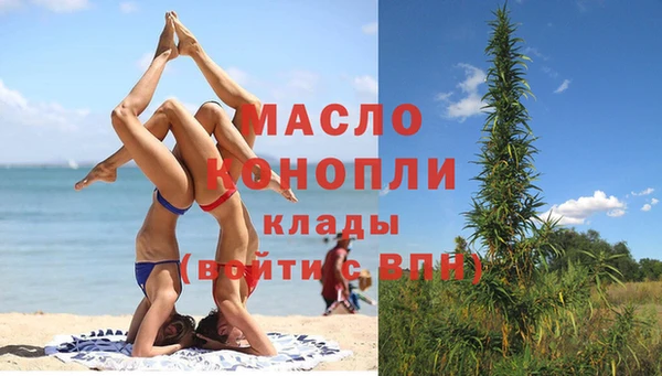 дживик Богородск