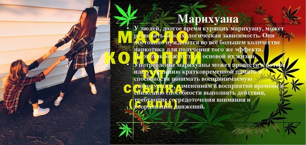 PSILOCYBIN Бородино