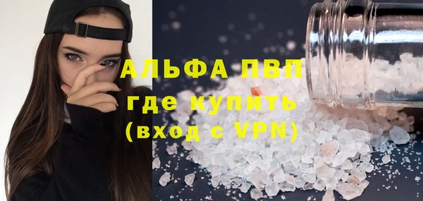 PSILOCYBIN Бородино